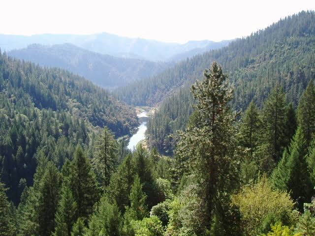 California national forest